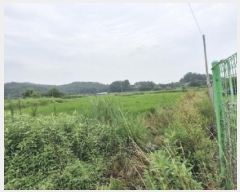  2025Ÿ��52998  ����