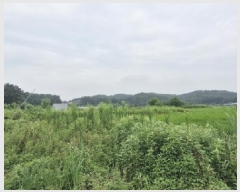  2025Ÿ��52998  ����