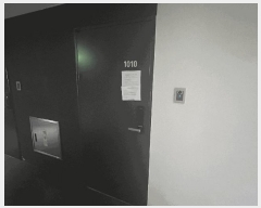  2025Ÿ��53107  ���ǽ��ڰ��