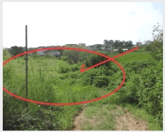  2025Ÿ��53116  �����