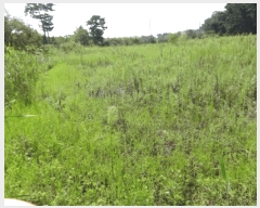  2025Ÿ��53116 ��� �Ȼ�� �ܿ��� ��γ��� 46      ����(��)���