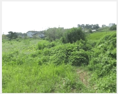  2025Ÿ��53116  �����