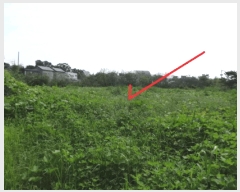  2025Ÿ��53116  �����