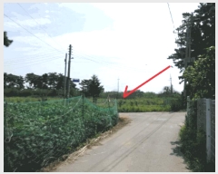  2025Ÿ��53116  �����