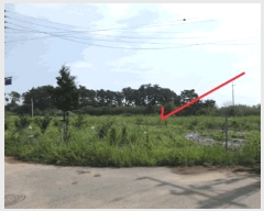  2025Ÿ��53116  �����