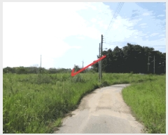  2025Ÿ��53116  �����