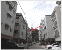  2025Ÿ��53153  �ټ���(����)���