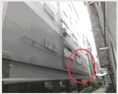  2025Ÿ��53153  �ټ���(����)���