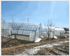  2025Ÿ313   ϵ 810-9       (1)