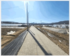  2025Ÿ313   ϵ 810-9       (1)