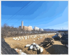  2025Ÿ313   ϵ 810-9       (1)