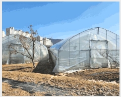  2025Ÿ313   ϵ 810-9       (1)