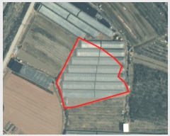  2025Ÿ313   ϵ 810-9       (1)