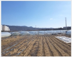  2025Ÿ313   ϵ 810-9       (1)