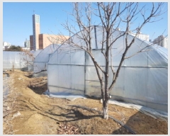  2025Ÿ313   ϵ 810-9       (1)