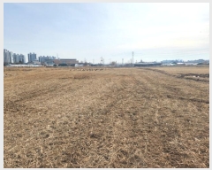  2025Ÿ50639    552       (1)