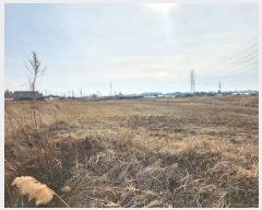  2025Ÿ50639    552       (1)