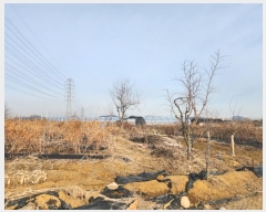  2025Ÿ50639    552       (1)