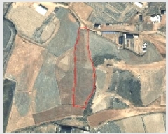  2025Ÿ50639    552       (1)