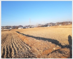  2025Ÿ50639    552       (1)