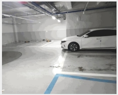  2025Ÿ��51662  ���ǽ��ڰ��