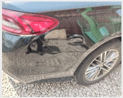  2025Ÿ��51941  �������