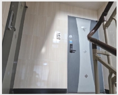  2025Ÿ��51946  �ټ���(����)���