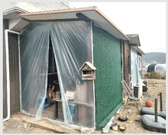  2025Ÿ��51969  ���ð��