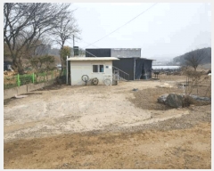  2025Ÿ��51969  ���ð��