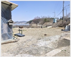  2025Ÿ��51969  ���ð��