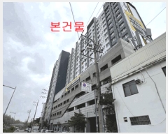  2025Ÿ��52029  ���ǽ��ڰ��