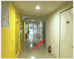  2025Ÿ��52029  ���ǽ��ڰ��