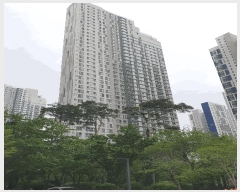  2025Ÿ��52258  ����Ʈ���