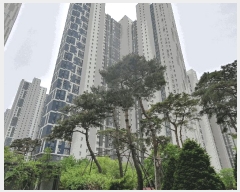  2025Ÿ��52258  ����Ʈ���