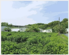  2025Ÿ��52322 ��� ����� ���̵� 28-3       ����(��1)���