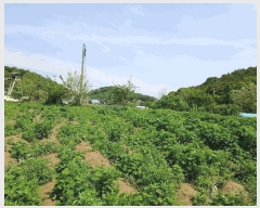  2025Ÿ��52322 ��� ����� ���̵� 28-3       ����(��1)���