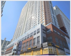  2025Ÿ��52688  ����Ʈ���