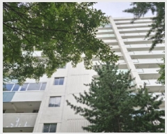  2025Ÿ��52814 ��� �Ȼ�� ��ϱ� ������ 584 �������ְ�����Ʈ 1015�� 12��1201ȣ   ����Ʈ���