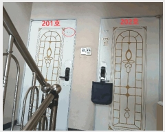  2025Ÿ��51929  �ټ���(����)���