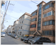  2025Ÿ��51929  �ټ���(����)���