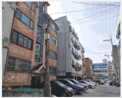  2025Ÿ��51929  �ټ���(����)���