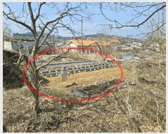  2025Ÿ��52000  �������