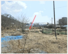  2025Ÿ��52000  �������