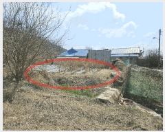  2025Ÿ��52000  �������