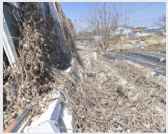  2025Ÿ��52000  �������