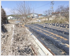  2025Ÿ��52000  �������