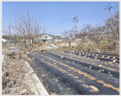  2025Ÿ��52000  �������