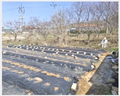  2025Ÿ��52000  �������