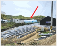  2025Ÿ��52107 ��� �Ȼ�� ��ϱ� ��� 28-1      ����(��)���