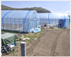  2025Ÿ��52107 ��� �Ȼ�� ��ϱ� ��� 28-1      ����(��)���